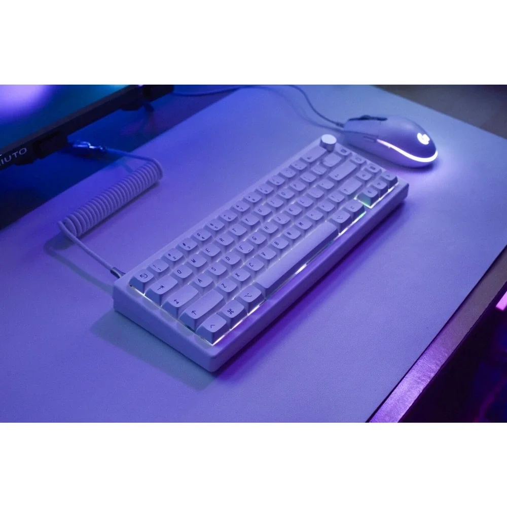 Custom modded mechanical keyboard GMK67 65% Lubed Switches thocky hot-swap RGB - Picture 3 of 10